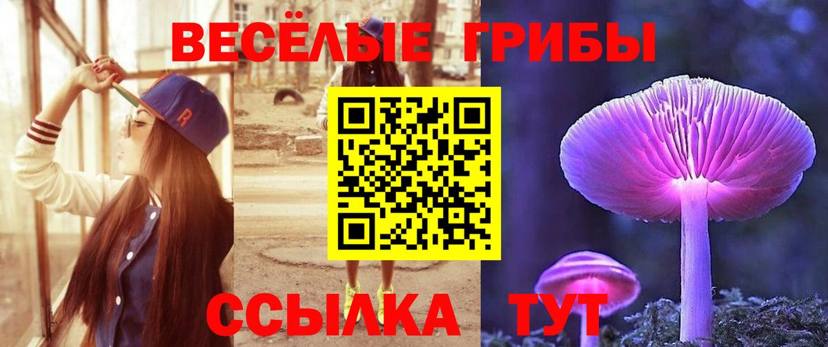 Псилоцибиновые грибы MAGIC MUSHROOMS Абинск